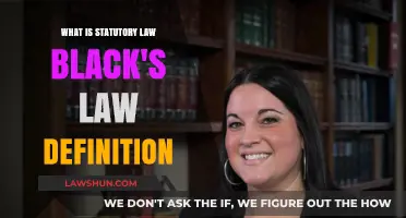Understanding Statutory Law: Black's Law Dictionary Definition Explained
