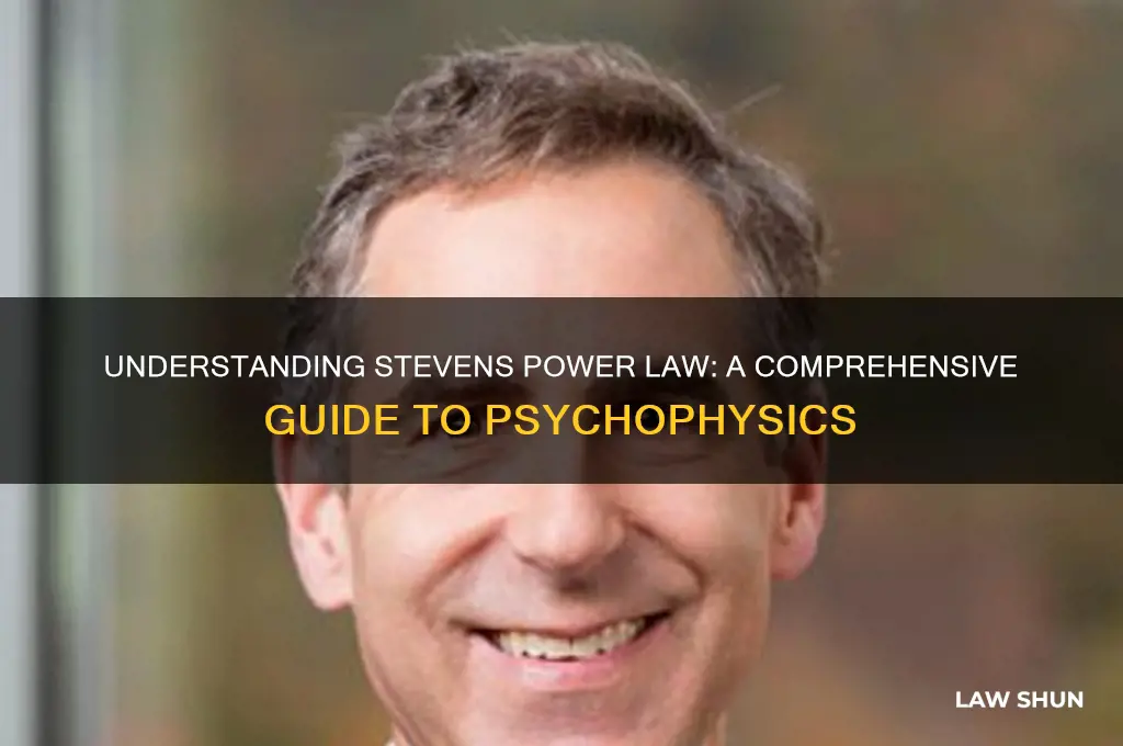 what is stevens power law