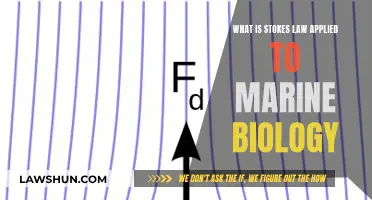 Stokes' Law: Understanding Marine Biology with Physics