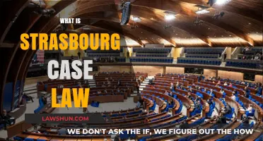 Strasbourg Case Law: Understanding European Human Rights