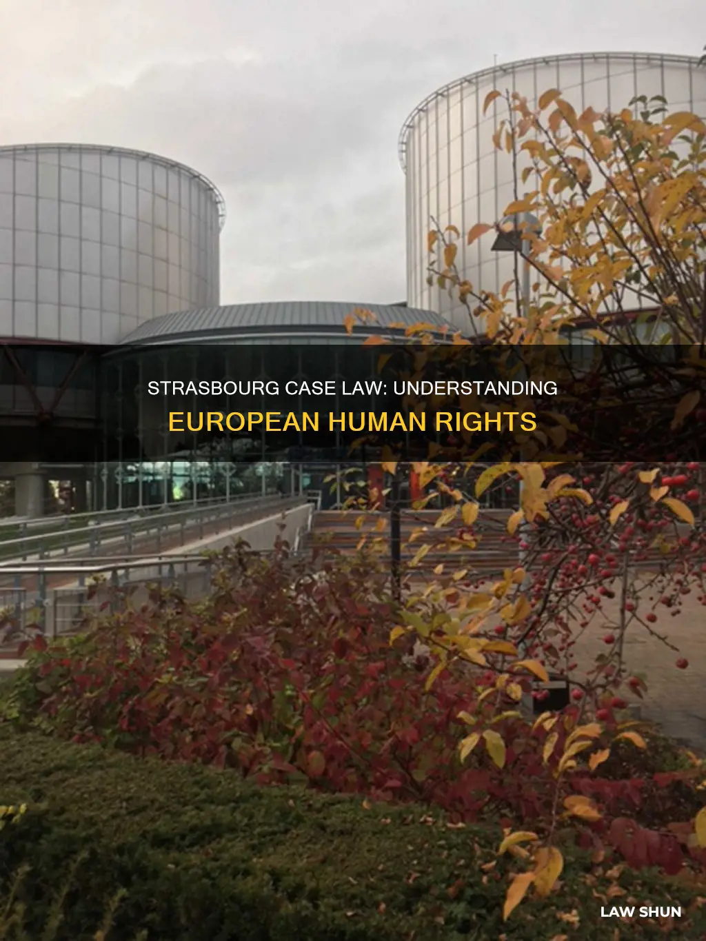 what is strasbourg case law