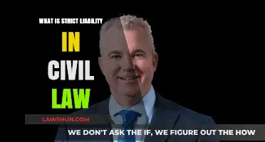 Understanding Strict Liability: Key Principles in Civil Law Explained