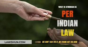 Stridhan: Understanding Women's Property Rights in India