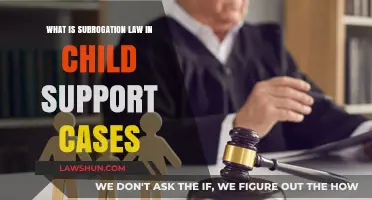 Subrogation Law: Child Support and Parental Rights
