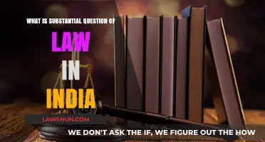 Understanding India's Substantial Question of Law