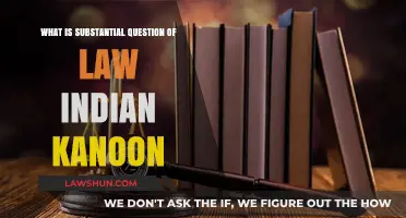 Understanding Substantial Questions of Law in Indian Kanoon