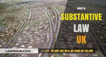 Understanding UK Substantive Law: Definition and Examples