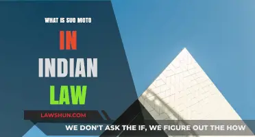Suo Moto Cases: Understanding India's Judicial Power