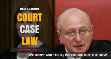 Supreme Court Case Law: Understanding the Legal System