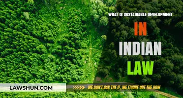 Sustainable Development: India's Legal Approach
