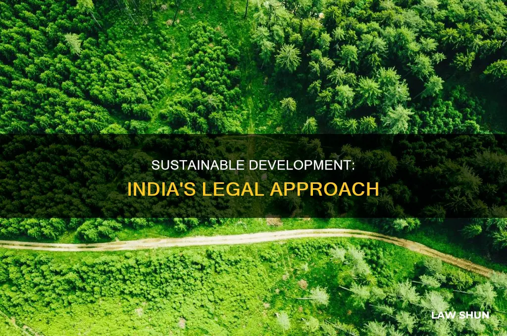 what is sustainable development in indian law