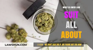 Understanding the SWCH Lawsuit: Key Allegations and Implications Explained
