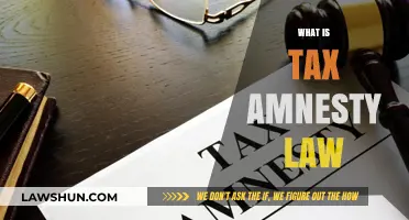 Understanding Tax Amnesty Laws: A Second Chance