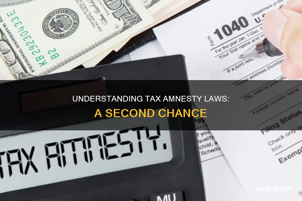 what is tax amnesty law