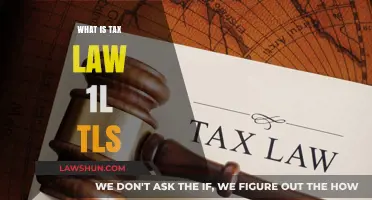 Understanding Tax Law: A Beginner's Guide