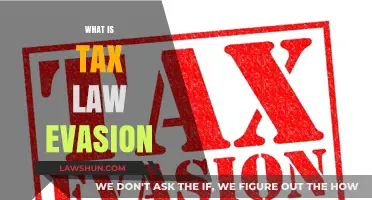 Understanding Tax Law Evasion: Criminal Offense