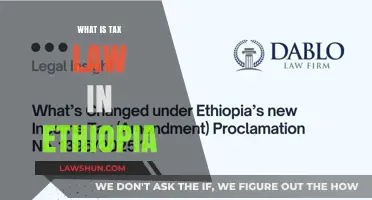 Ethiopia's Tax Laws: A Comprehensive Overview