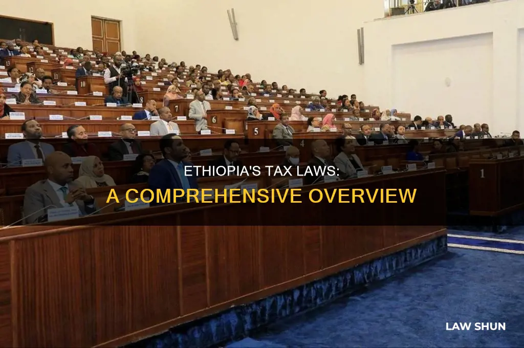 what is tax law in ethiopia