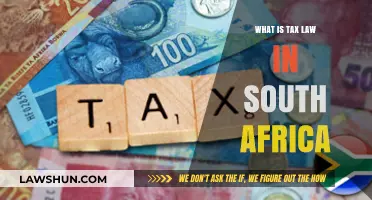 Understanding South Africa's Tax Laws