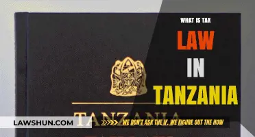 Tanzania's Tax Law: A Comprehensive Guide