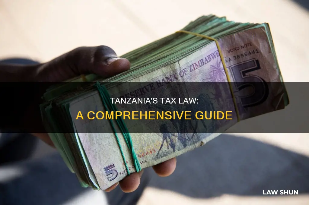 what is tax law in tanzania