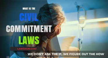 Understanding Civil Commitment Laws: Purpose, Process, and Legal Implications