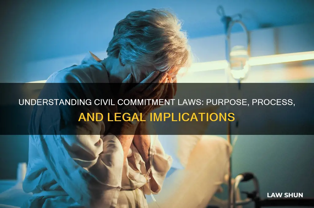 what is tbe civil commitment laws