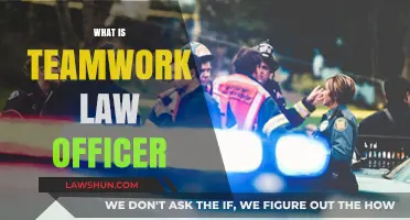 Understanding Teamwork Law: How Officers Collaborate for Effective Policing