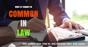 Understanding Tenancy in Common: Law Basics