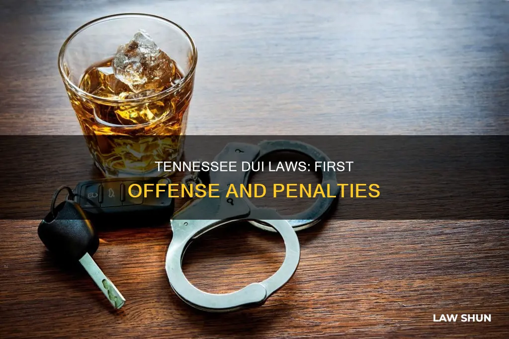 what is tenn law on first offense dui
