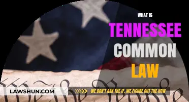 Understanding Tennessee's Common Law: Legal Basics