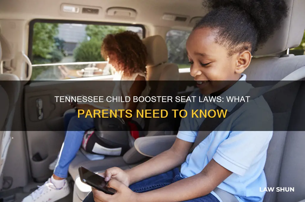 what is tennessee law on child booster seats