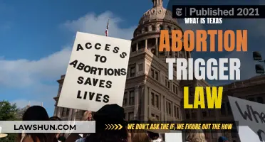 Texas Abortion Trigger Law: Understanding the Ban