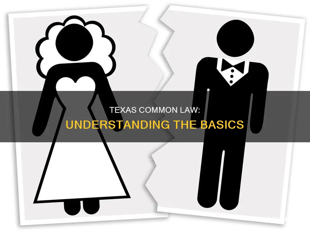 what is texas common law