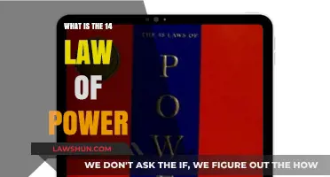 Mastering Influence: Understanding the 14 Laws of Power Explained