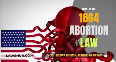 The Abortion Act of 1864: A Historical Perspective