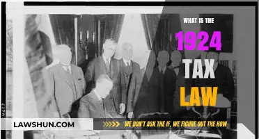 The 1924 Tax Law: A Historical Overview