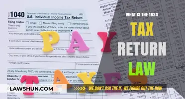 Unveiling the 1924 Tax Return Law