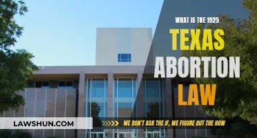 Texas Abortion Law: Understanding the 1925 Legislation