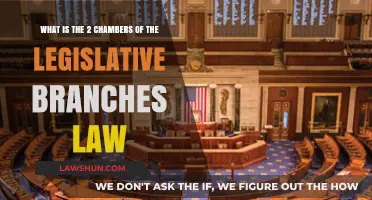 Understanding the Two Chambers of the Legislative Branch: A Legal Overview