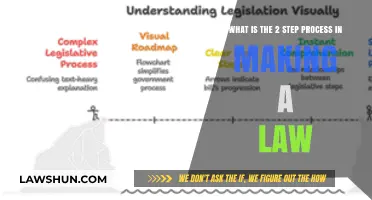 Understanding the Two-Step Lawmaking Process: From Proposal to Enactment