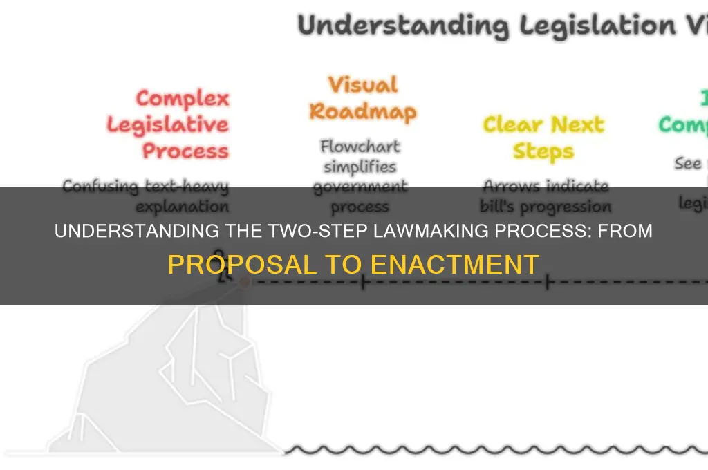 what is the 2 step process in making a law