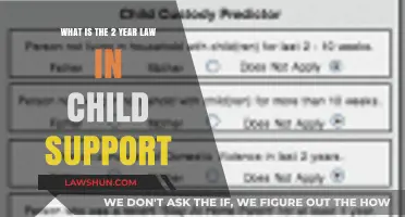Understanding the Two-Year Rule in Child Support Payments Explained