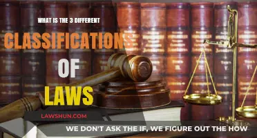 Understanding Law: Classifying the Three Types of Laws