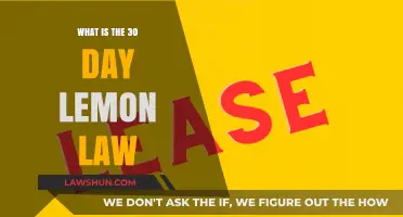 Understanding the 30-Day Lemon Law: Protecting Your Vehicle Purchase