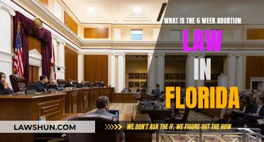 Florida's Abortion Law: Six-Week Ban Overview