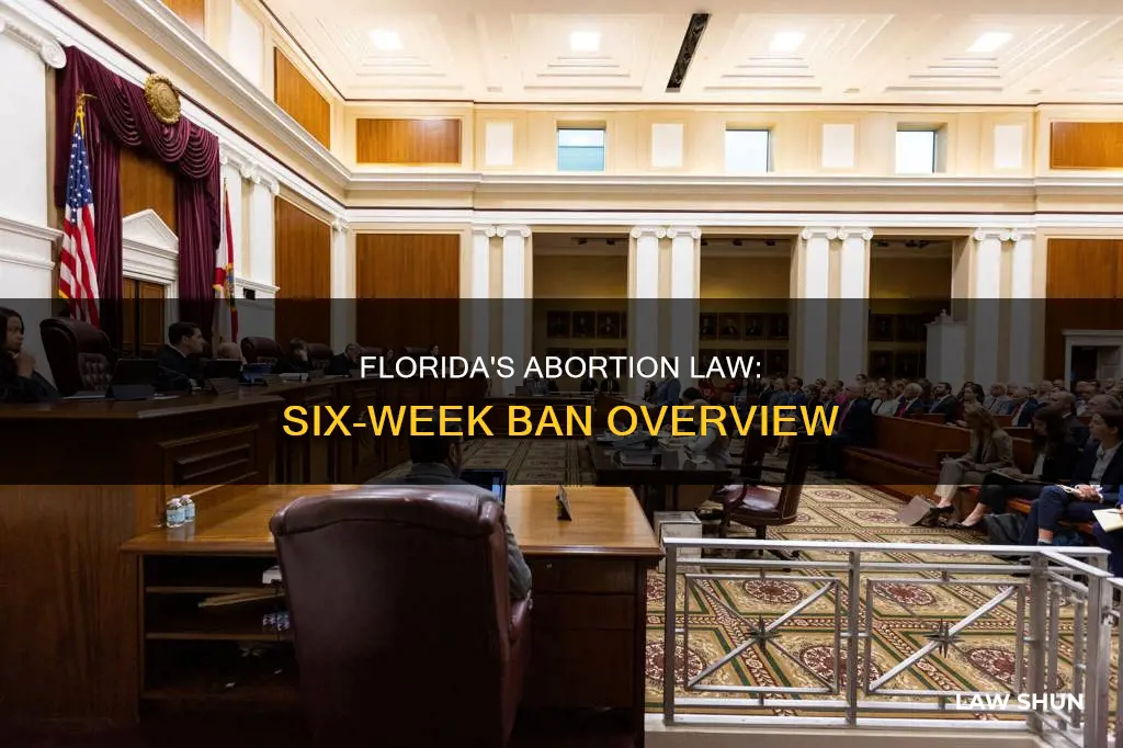 what is the 6 week abortion law in florida