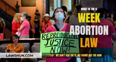 Understanding the Abortion Law: Six-Week Limit