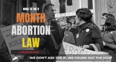 Understanding the Abortion Law: Nine-Month Limit and Its Implications