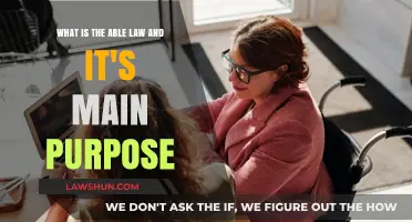 Understanding the ABLE Act: Empowering Individuals with Disabilities Financially